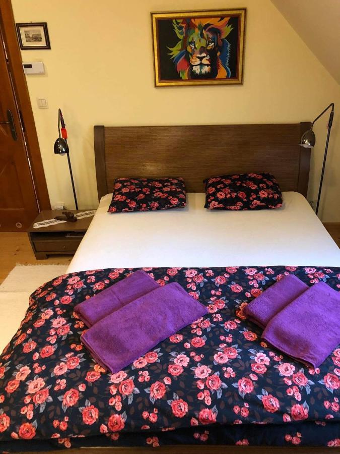 Willa Nad Popradem Bed & Breakfast Piwniczna-Zdroj Екстериор снимка