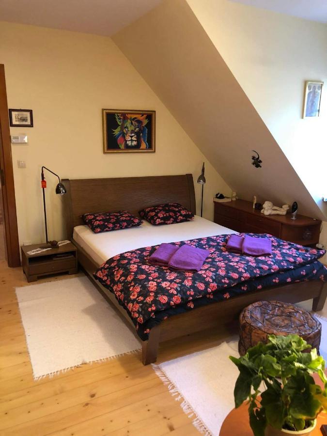 Willa Nad Popradem Bed & Breakfast Piwniczna-Zdroj Екстериор снимка