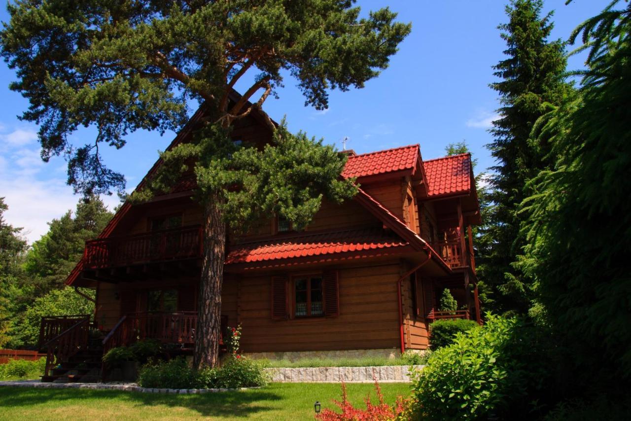 Willa Nad Popradem Bed & Breakfast Piwniczna-Zdroj Екстериор снимка