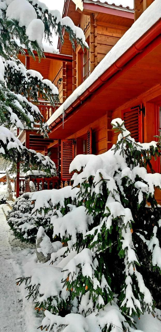 Willa Nad Popradem Bed & Breakfast Piwniczna-Zdroj Екстериор снимка